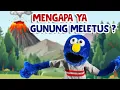 Download Lagu Fenomena Alam Gunung Meletus | pembelajaran untuk anak PAUD, TK, Playgroup