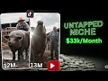 I CLONED This 500k TikTok Account \u0026 Made...