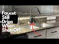 How to Replace Delta Cartridge RP50587 on a Kitchen Faucet