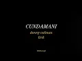 Download Lagu CUNDAMANI denny caknan lirik (sayang....titip rogo ku titip roso tresno ku)