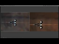 Realtime Edit - Hooded Merganser Drake