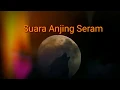 Download Lagu Efek Suara Seram Srigala Memanggil
