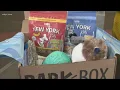 Is BarkBox worth it for your dog We put their prices to the test