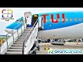 Download Lagu TRIP REPORT | TUI: A Real Holiday Flight! ツ | London-Gatwick to Gran Canaria | Boeing 737