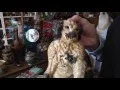 Wilson s Antiques Curiosities - Collecting Vintage Doorstops