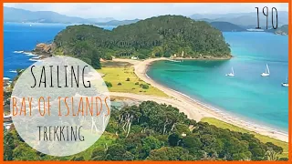 Sailing the Cavalli Islands to Whangaroa Harbour : NZ  Ep 190