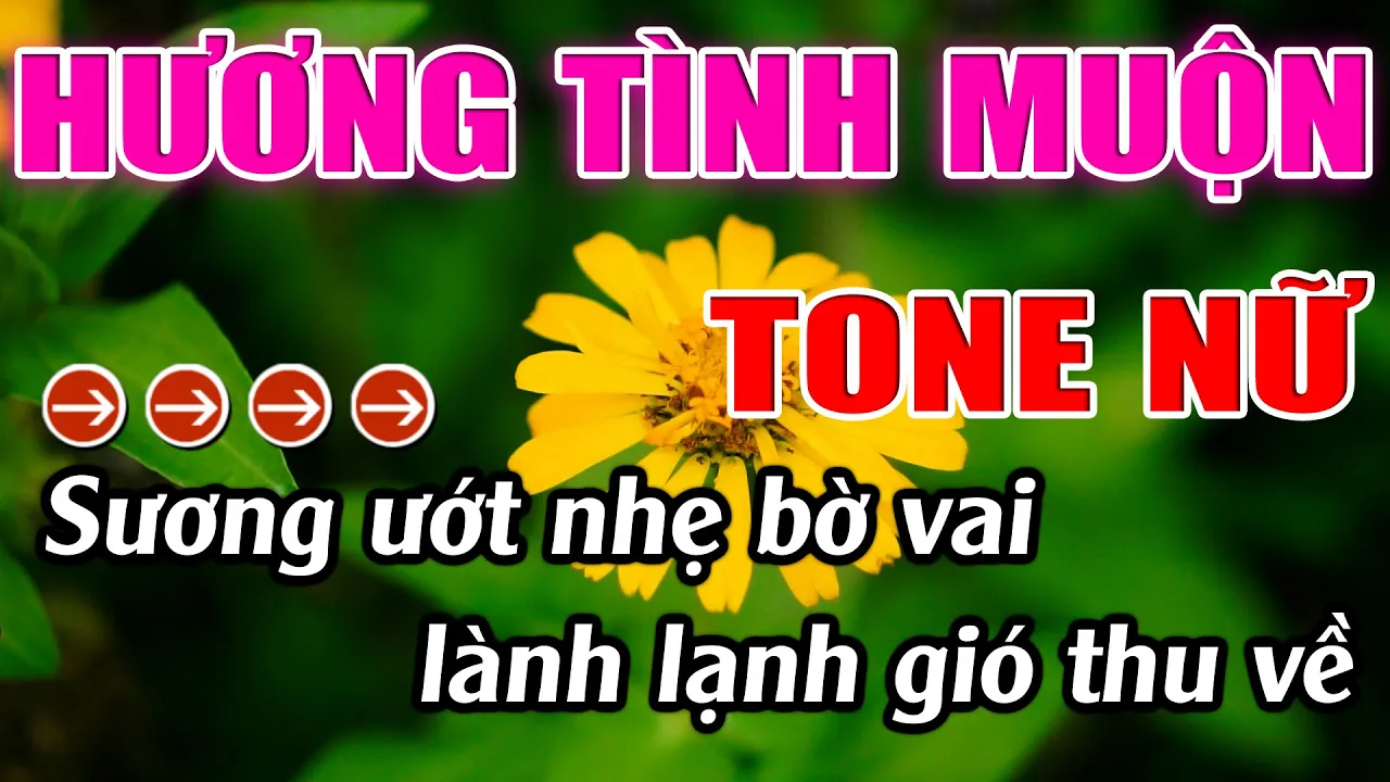 Hương Tình Muộn  