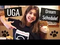 UGA College 101 Tips for Scheduling Your Classes