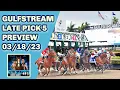 The Magic Mike Show 450 Gulfstream Saturday Late Pick 5 Hutcheson Silks Run Stakes
