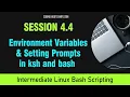 Master Linux Bash Scripting Session 4 4 - Environment Variables Setting Prompts in ksh and bash