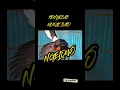 Download Lagu CIRI CIRI DAN PENYEBAB MURAI BATU NGELOWO!! SIMAK VIDEO NYA... #videoshorts #muraibatu #viral