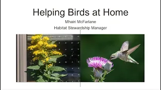 Project FeederWatch Presents: Helping Birds at Home