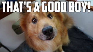 Sail Life – Sailboat update #12