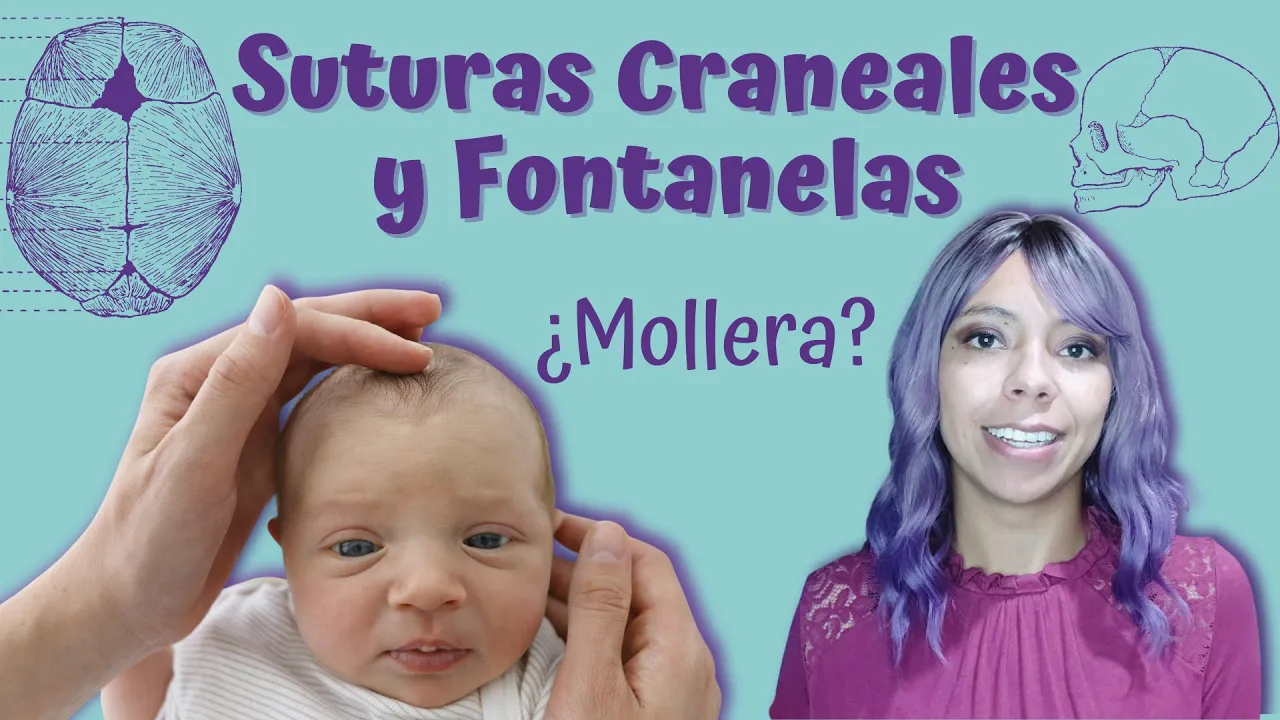 ¿Qué son las suturas craneales y las fontanelas o Mollera? | ¿Un bebé respira por la "Mollera"?)