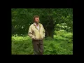 Jim McCann - Danny Boy