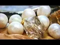 Download Lagu REAL DIAMOND \u0026 PEARLS FOUND IN OYSTER....IN TOTAL SHOCK!! ON FUN HOUSE TV
