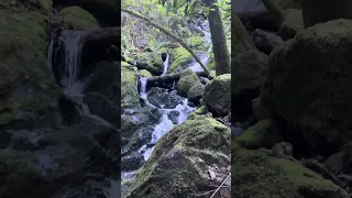Cataract falls ca . #fyp #nature #doberman #pets #dream