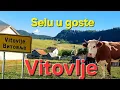 Download Lagu Dobro došli u VITOVLJE – Selo na krovu planine Vlašić