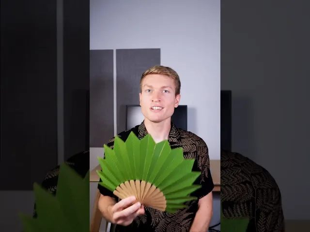 Folding Palm Hand Fan (Large) video thumbnail