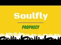 Soulfly – Prophecy (Guitar Cover)