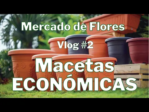 Download MP3 Vlog #2 - MERCADO DE FLORES - MACETAS ECONÓMICAS PARA PLANTAS