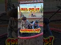 Fun Day at Cornbelly s Utah Kids Had the Best Time