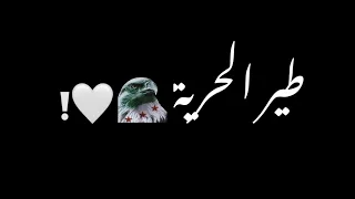 طير الحرية طاير من فوق الشام ناصيف زيتون ڪرومات شاشة سوداء بدون موسيقى جاهزة للتصميم ترند 2024 