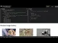 Adding Flex to Your Flexbox Image Gallery on CodePen