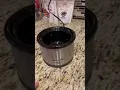 Crock-Pot 16-Ounce Little Dipper Review
