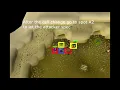 Ba Services Leech Collector guide for beginners