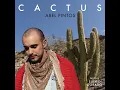 Cactus - Abel Pintos