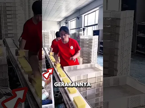 Cewek ini Takut Saat Bos Galak Memarahinya... Endingnya Bikin Haru 💔
