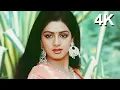 Lagu 4K VIDEO SONG | Tu Ladka Garam Masala | Suhagan Movie 4K Video Song | Bappi Lahari