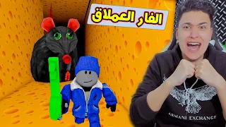 لا تلمس الفار العملاق 