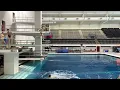 Tomas Salas - IUPUI 3m practice 2023