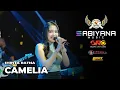Download Lagu CAMELIA ~ SHINTA RATNA ~ SABIYANA MUSIC LIVE ANKERS