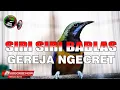 Download Lagu CUCAK CUNGKOK GACOR FULL ISIAN SIRI-SIRI KECIL BABLAS GEREJA TARUNG TUNGGAL