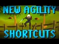 Runescape s New Agility Shortcuts they are amazing