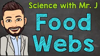 Food Webs What are Food Webs