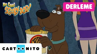 Hayaletler, İpuçları ve Scooby Kurabiyeleri! | Sakin Ol, Scooby‑Doo! | @CartoonitoTurkiye