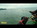 Download Lagu MANCING PINGGIRAN SAAT ANGIN KENCANG 