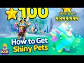 SHINY PET GUIDE How to Get Shiny Pets faster
