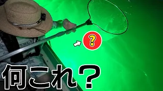 恒例のえびすき漁に行ったらまさかの珍客が現れました。