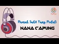 Nana Capung - Rumah Sakit Yang Peduli | Unofficial Lyric Audio #NariaMusic