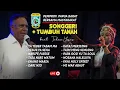 Download Lagu SUKACITA PEMPROV. PAPUA BARAT BERSAMA MASYARAKAT SONGGERI BUAT TUHAN YESUS | 31 MEI 2023