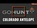 Colorado Antelope Strategy 2026 Units Points Draw Odds
