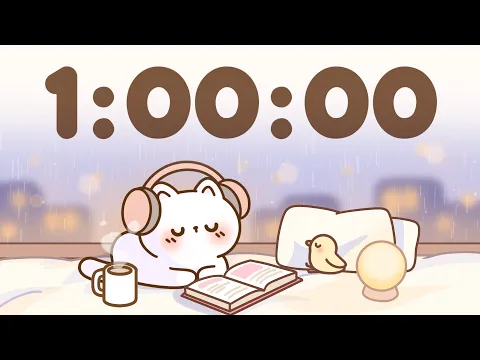 60 Minute Timer 🐱 1 Hour Study Timer for Classroom