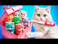 We Hebben een Zwangere Kat Gered! We Bouwen een Geheime Kamer voor Kittens!