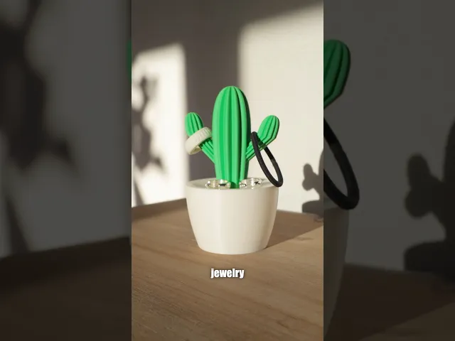 Jewelry Cactus - Jewelry Box video thumbnail