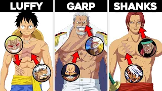 How Did Each One Piece Character Get Their Iconic Scars?